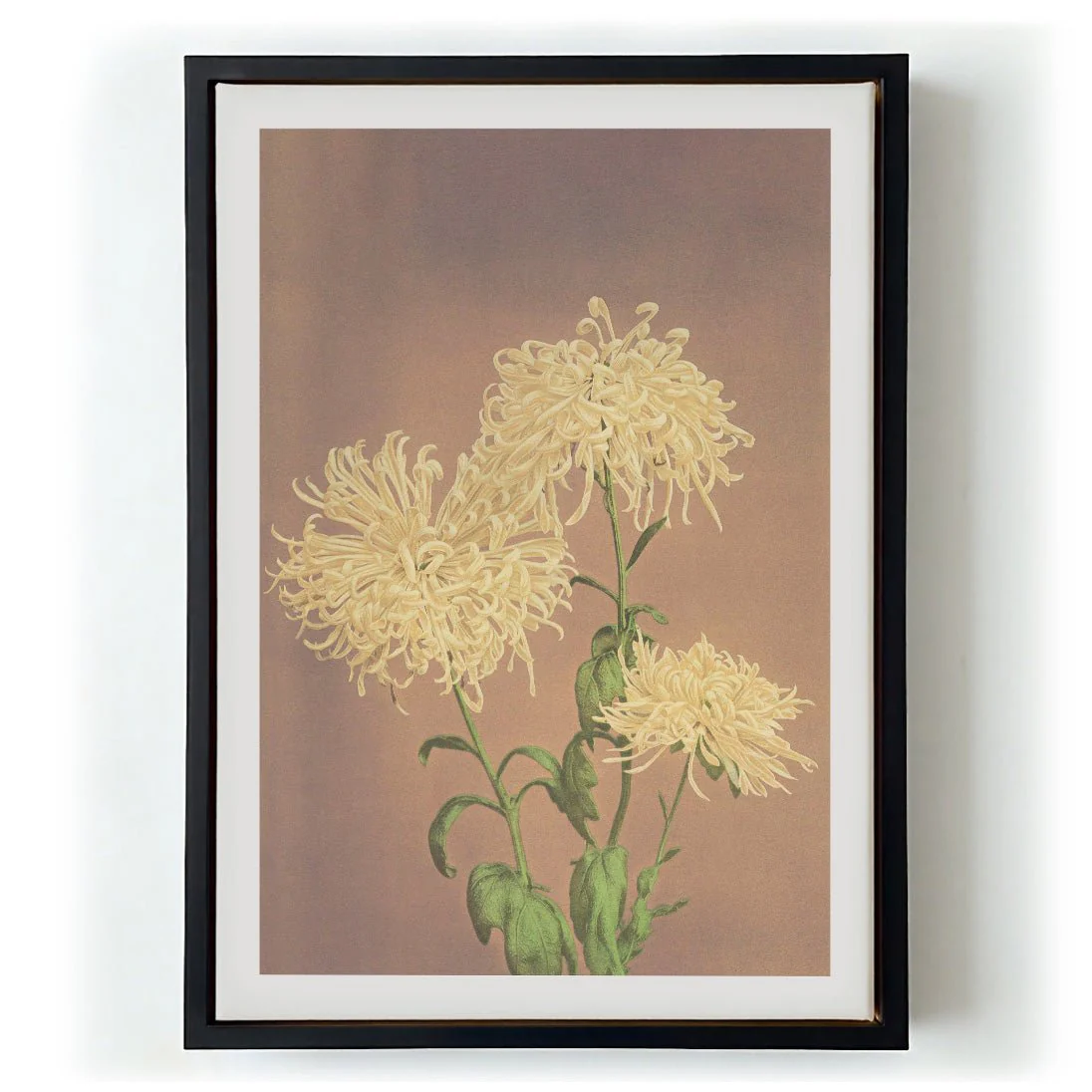 Three Yellow Chrysanthemum by Ogawa Kazumasa - Image 6
