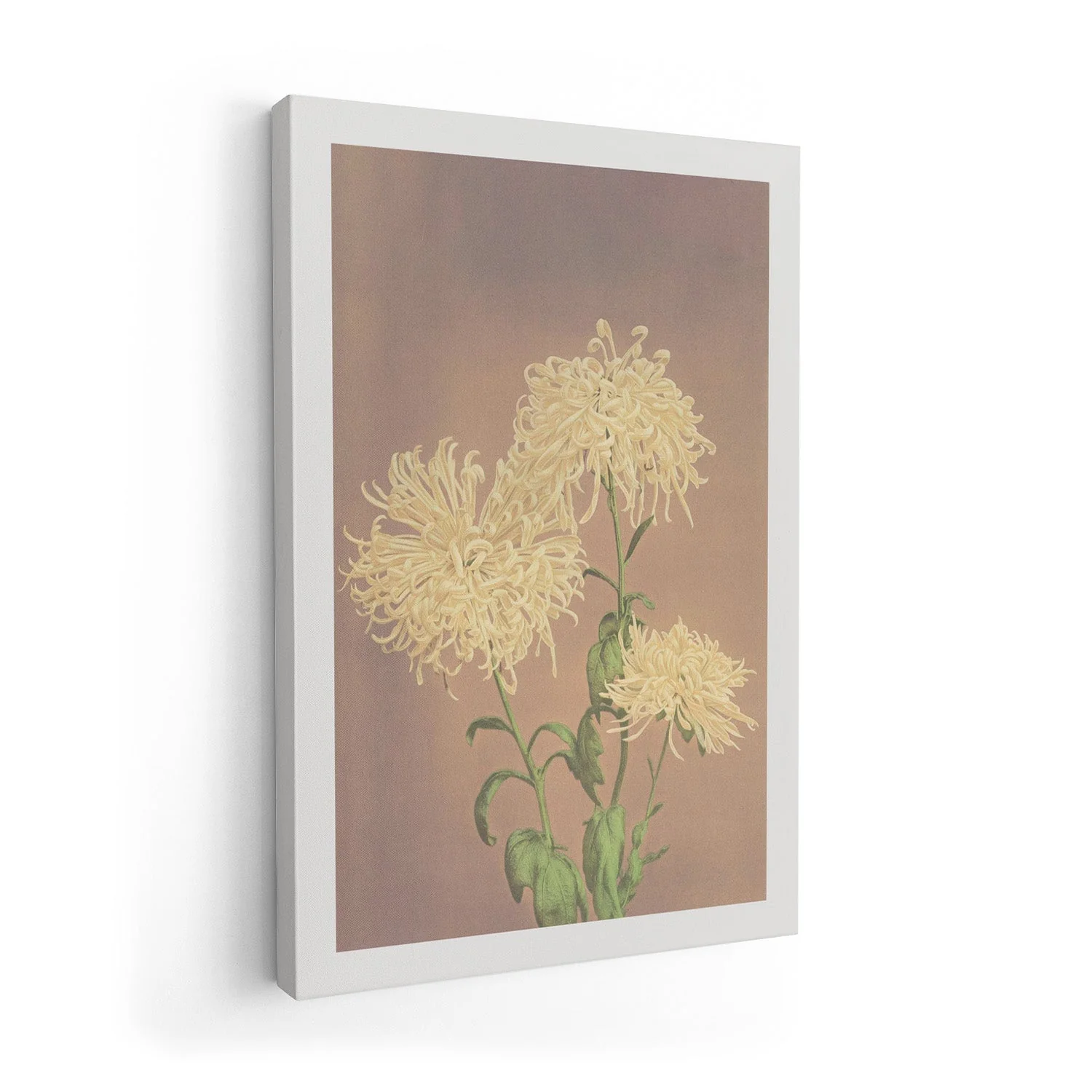 Three Yellow Chrysanthemum by Ogawa Kazumasa - Image 7