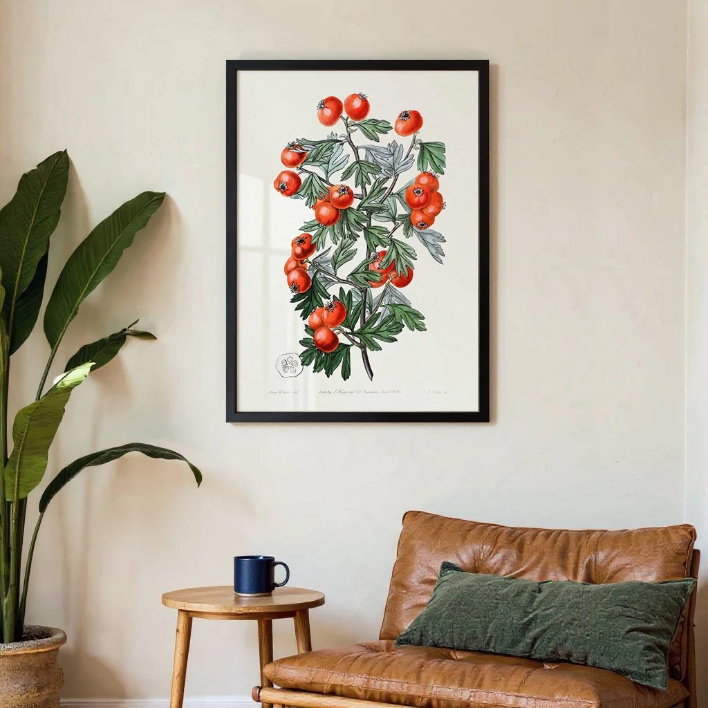 Tomatoes - Image 3