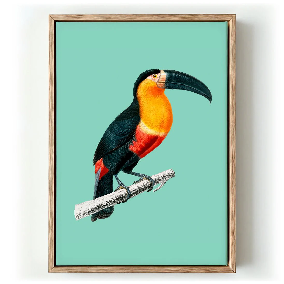 Toucan du Para on Green