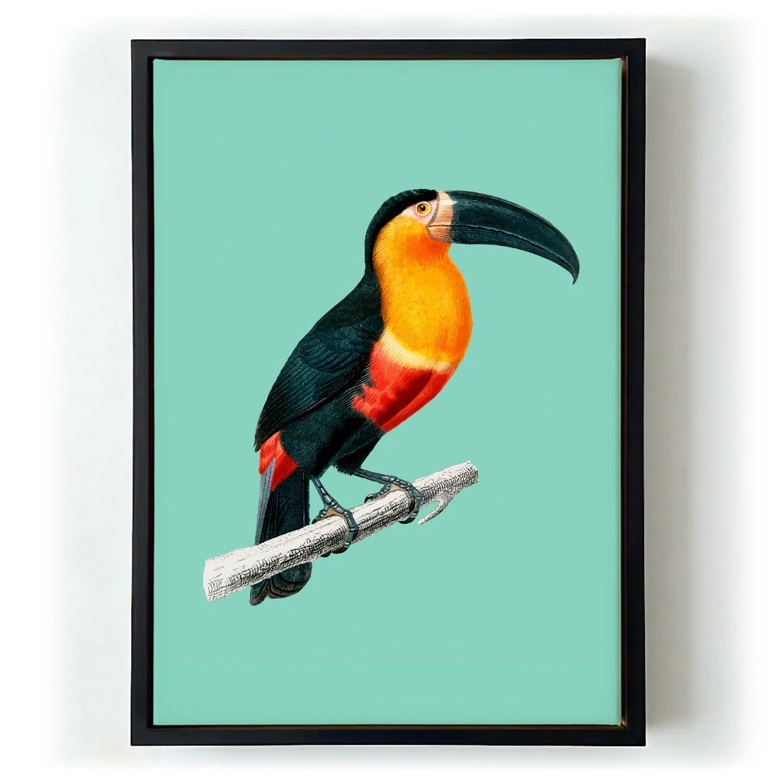 Toucan du Para on Green - Image 6
