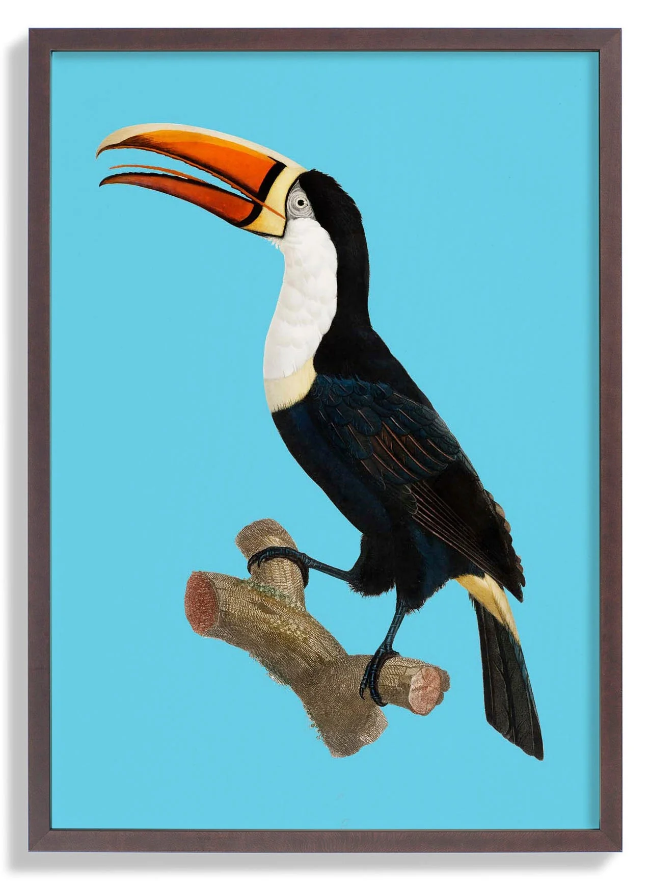 Toucan on Blue Animal Print - Image 7