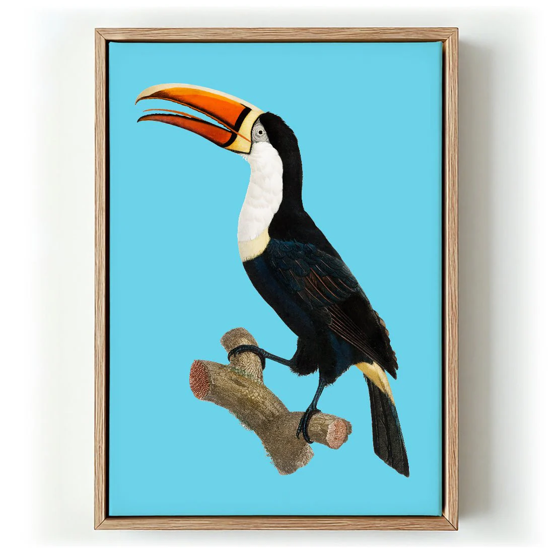 Toucan on Blue Animal Print