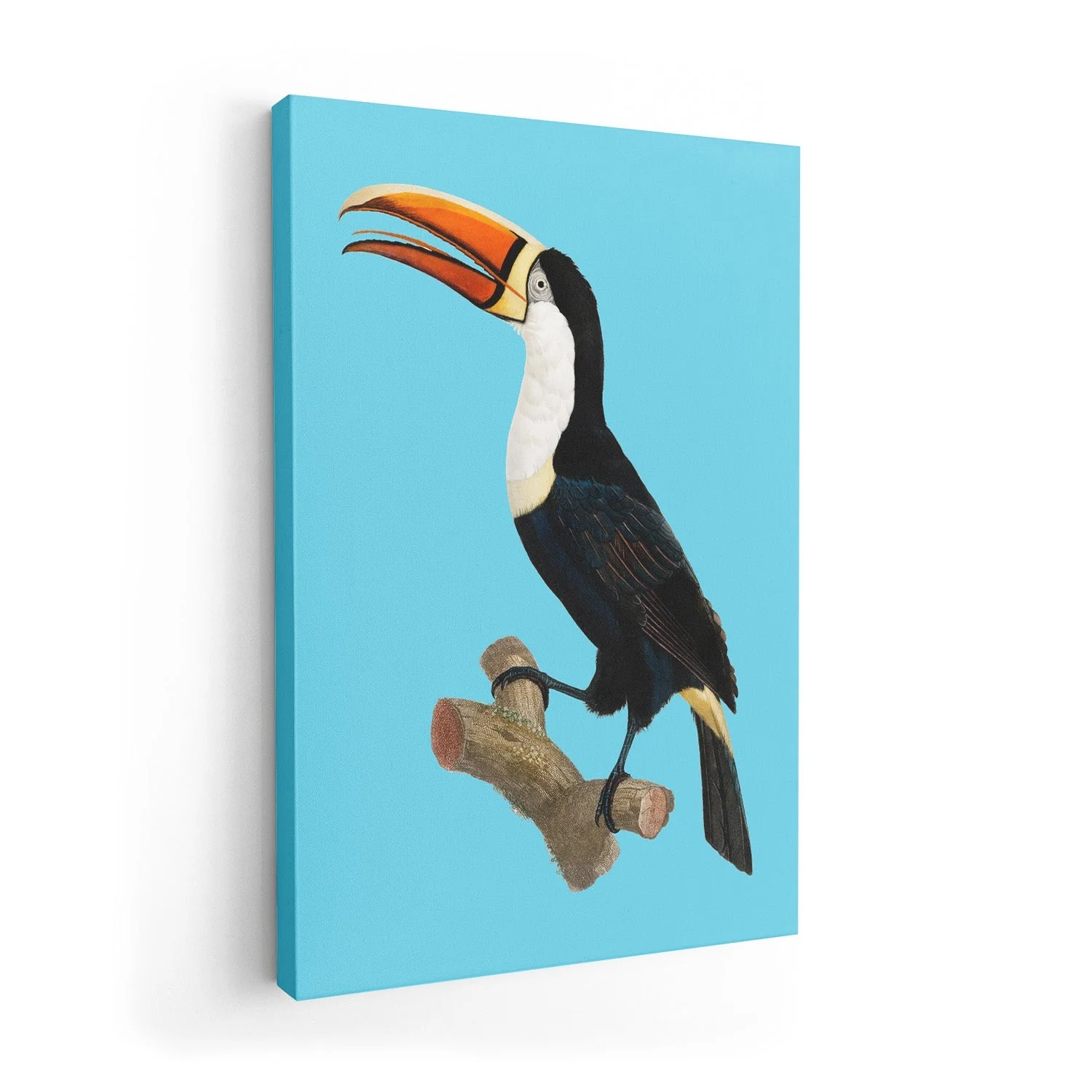 Toucan on Blue Animal Print - Image 7