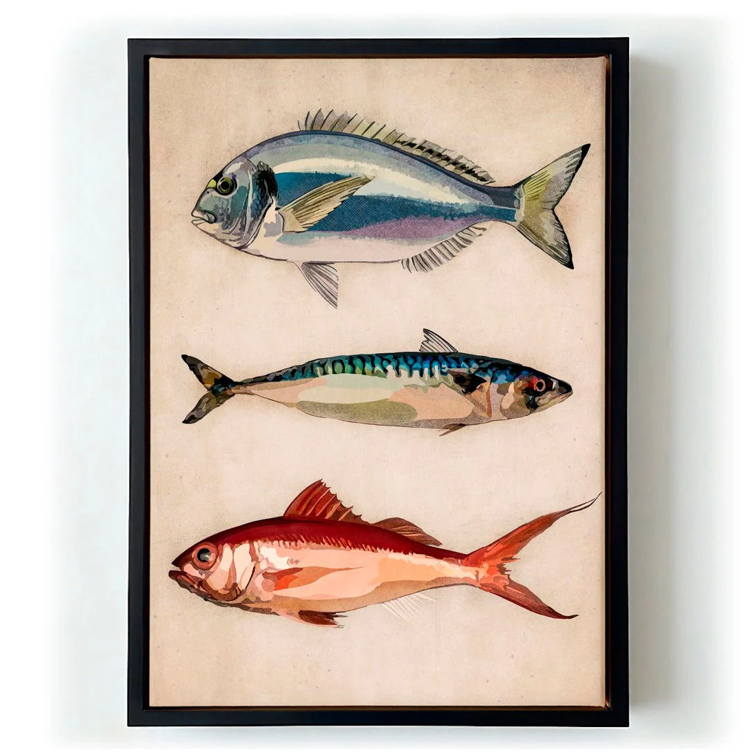 Trio of Ocean Life by Emel Tunaboylu - Image 5