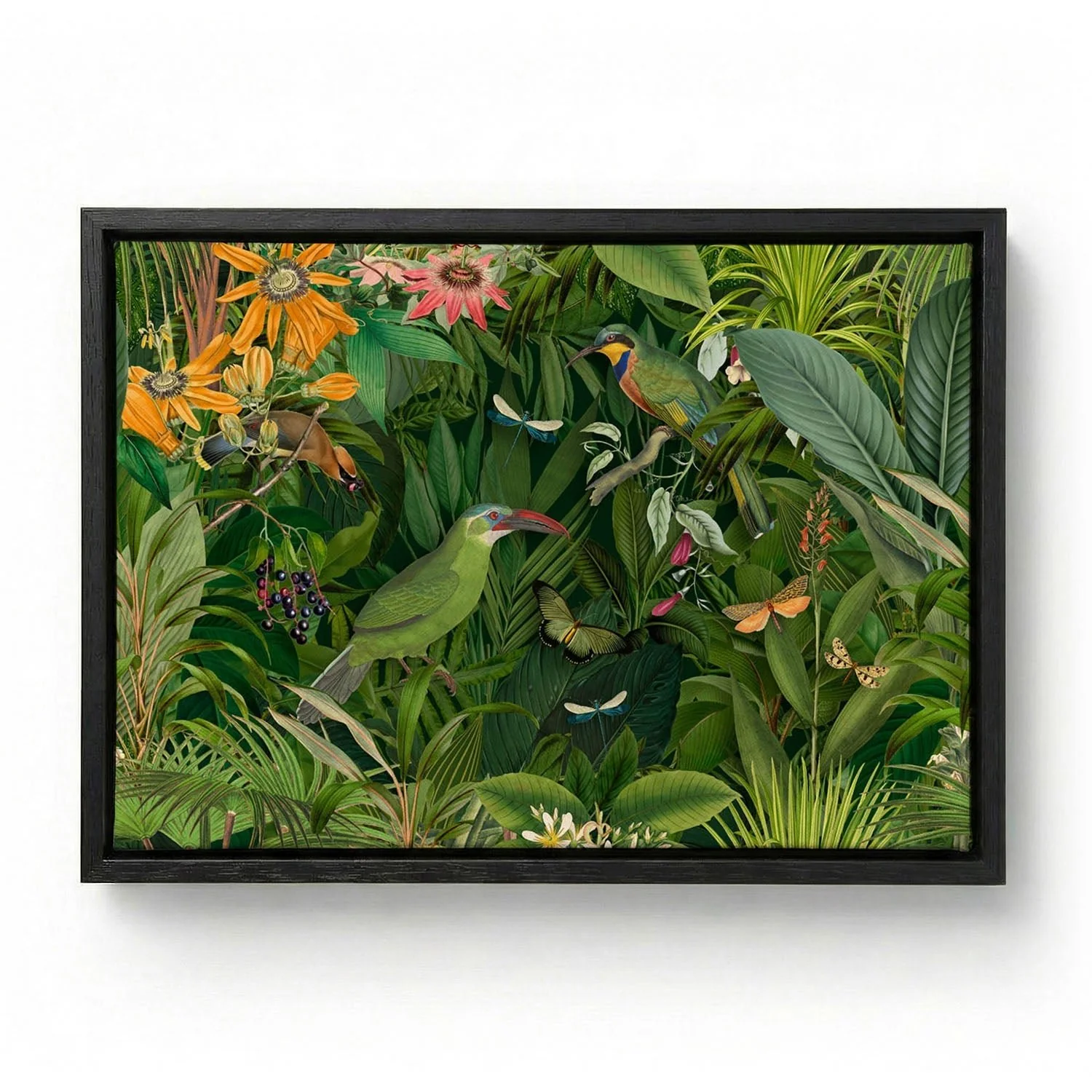 Tropical Midnight Jungle Birds by Andrea Haase - Image 5