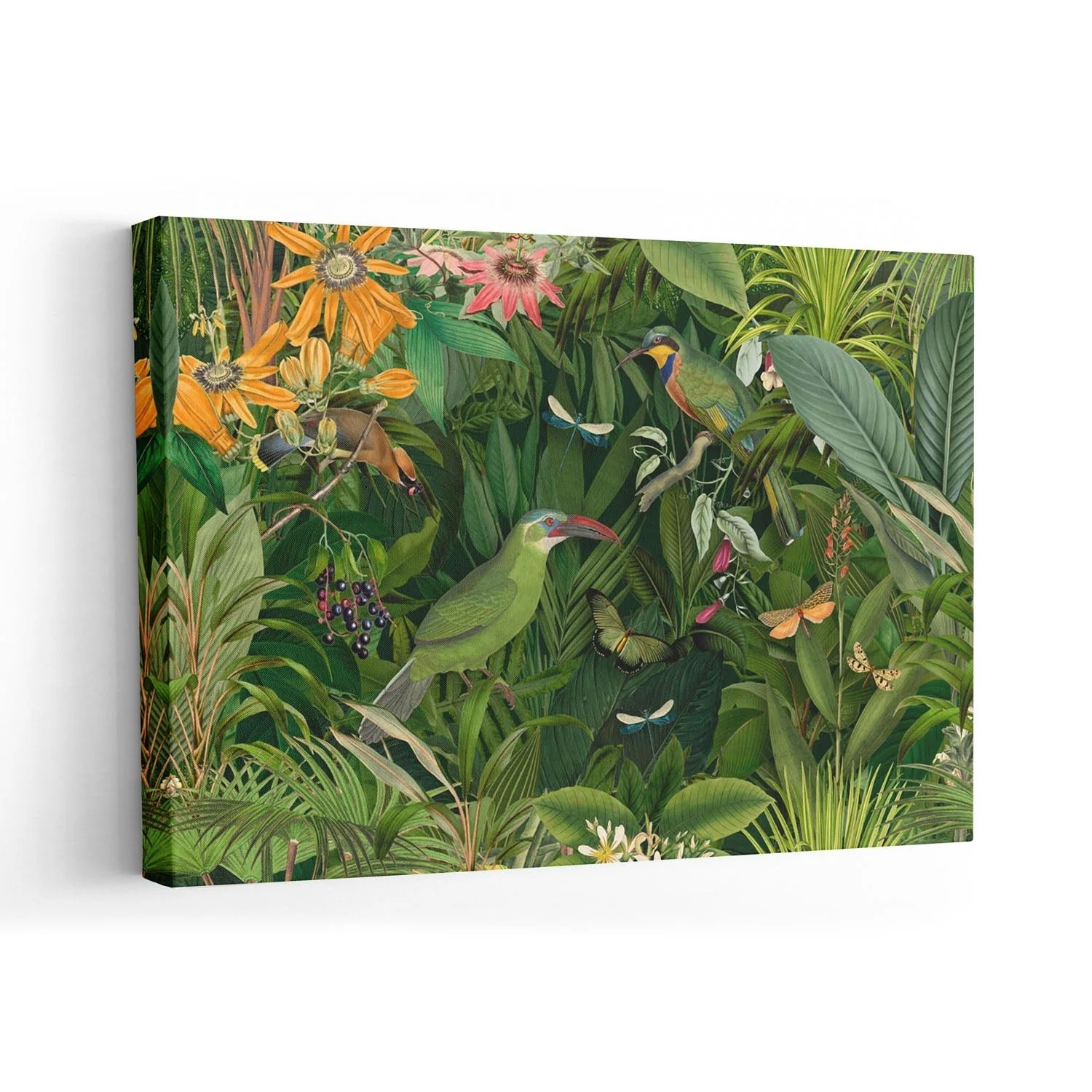 Tropical Midnight Jungle Birds by Andrea Haase - Image 7