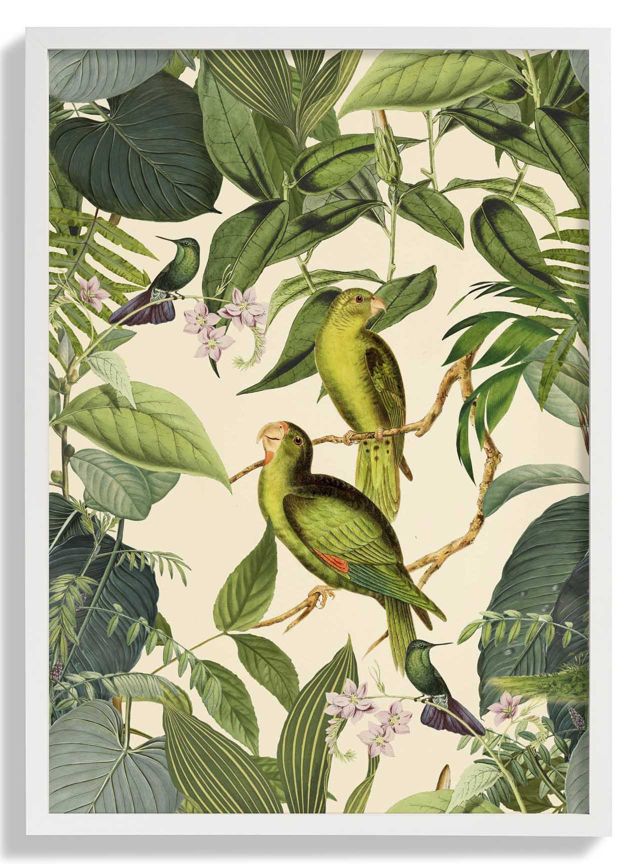 Tropical Parakeet by Andrea Haase - Image 5