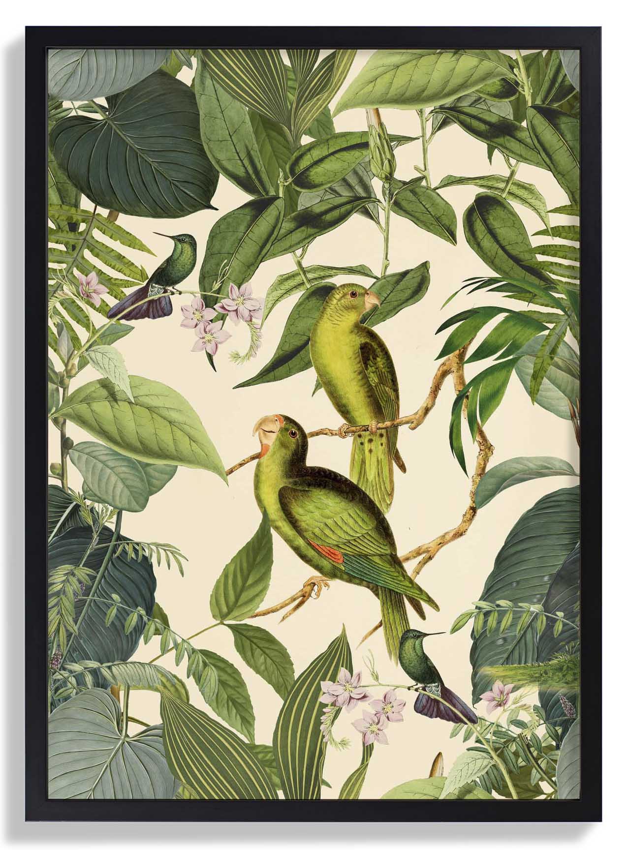 Tropical Parakeet by Andrea Haase - Image 6