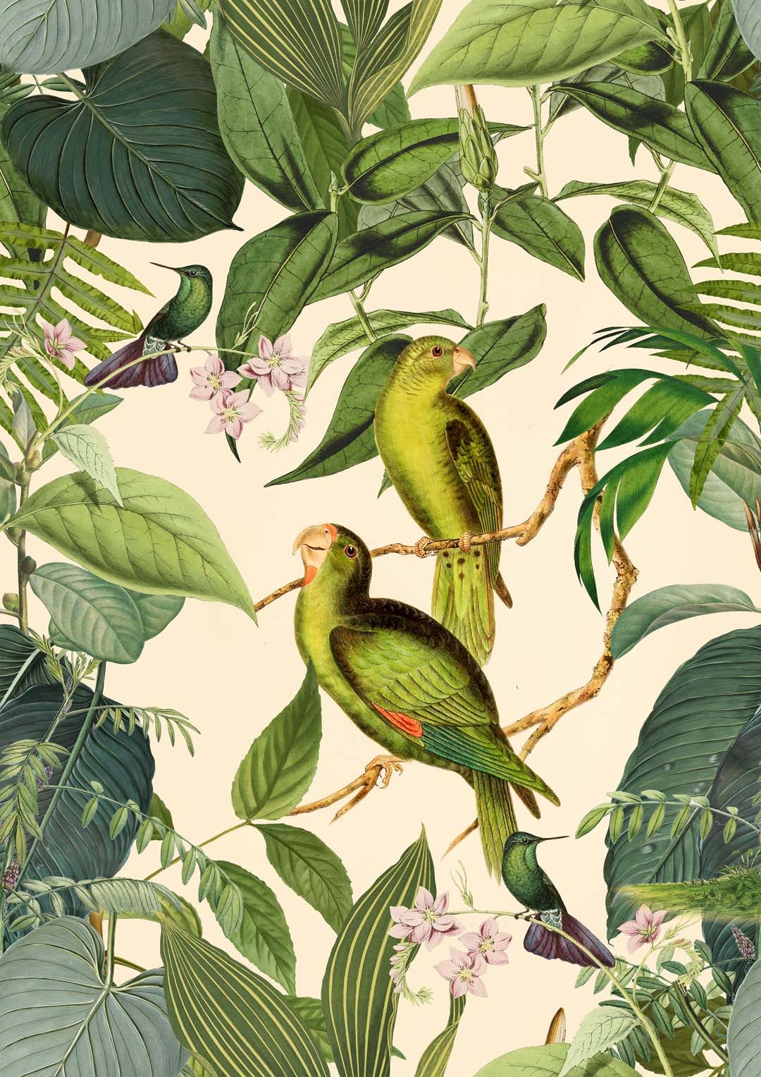 Tropical Parakeet by Andrea Haase - Image 8