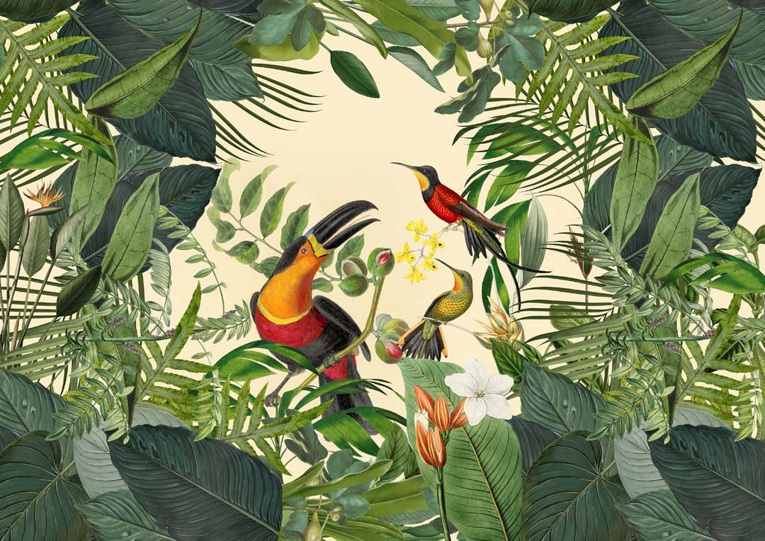 Tropical Toucan by Andrea Haase - Image 8