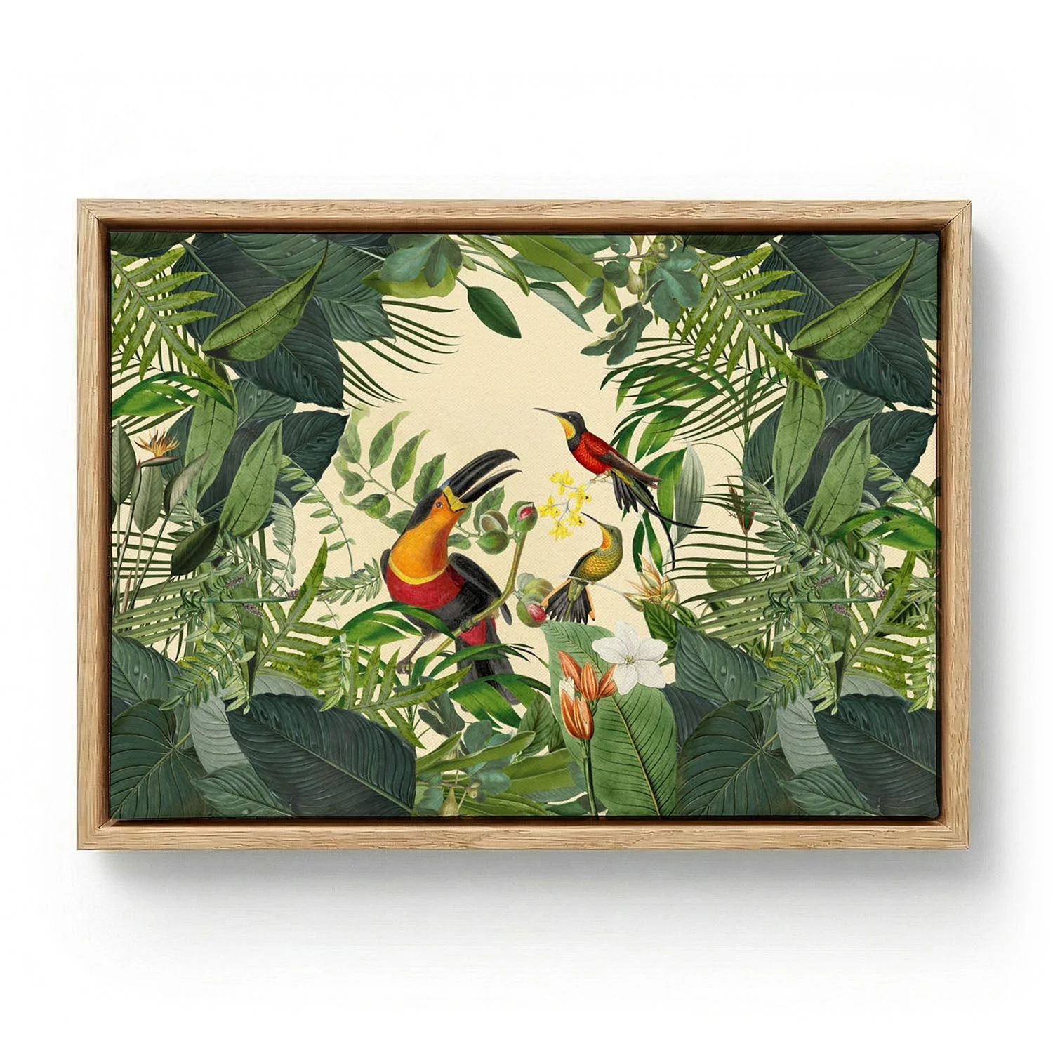 Tropical Toucan by Andrea Haase