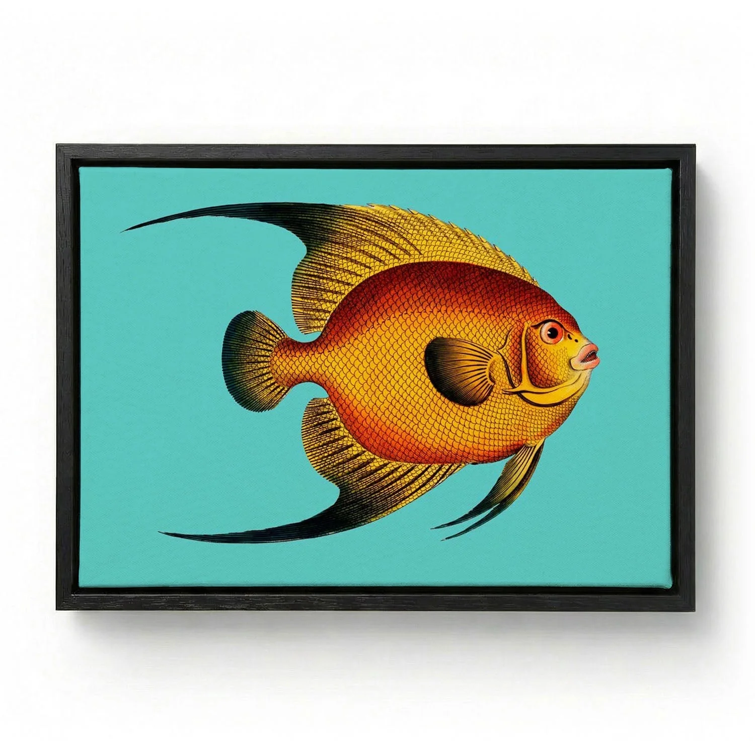 Turquoise Fish - Image 5