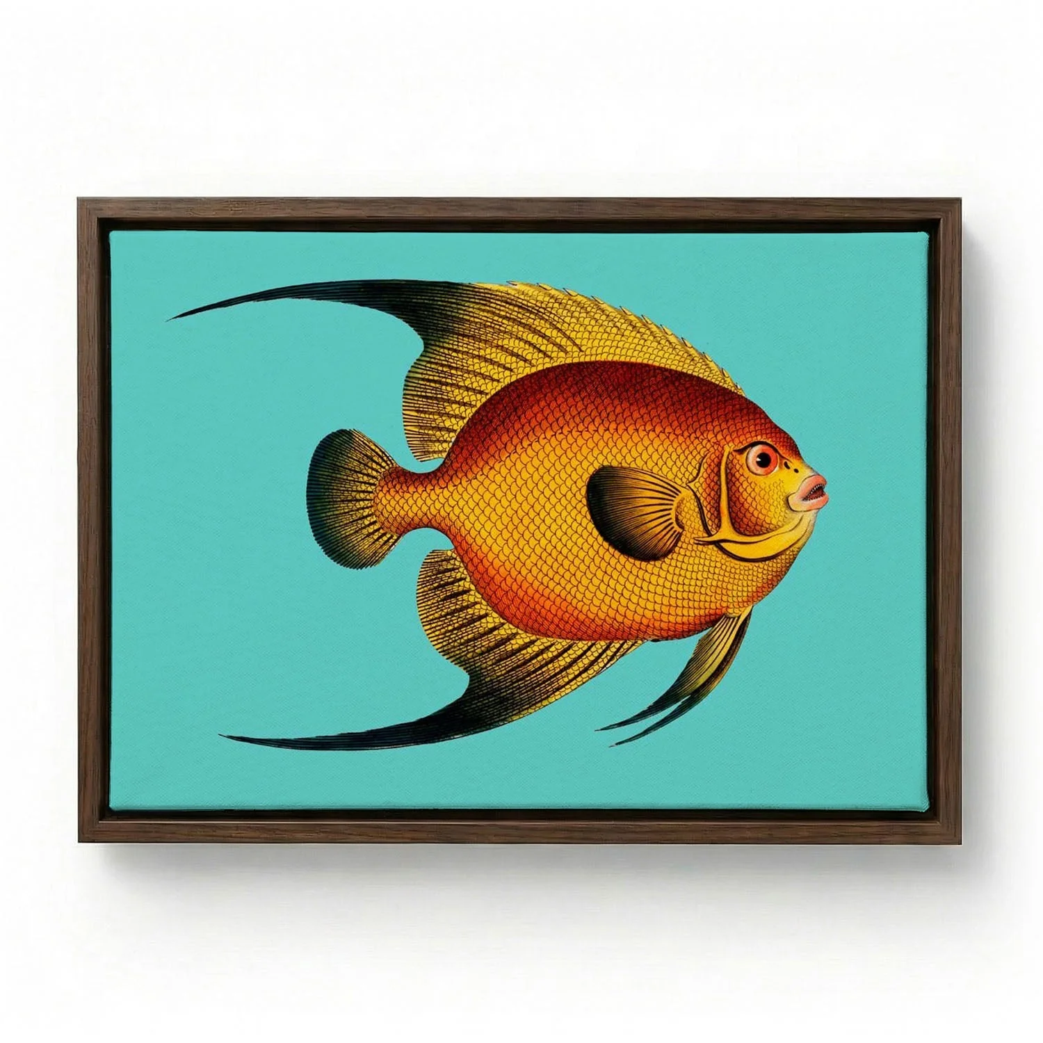 Turquoise Fish - Image 6