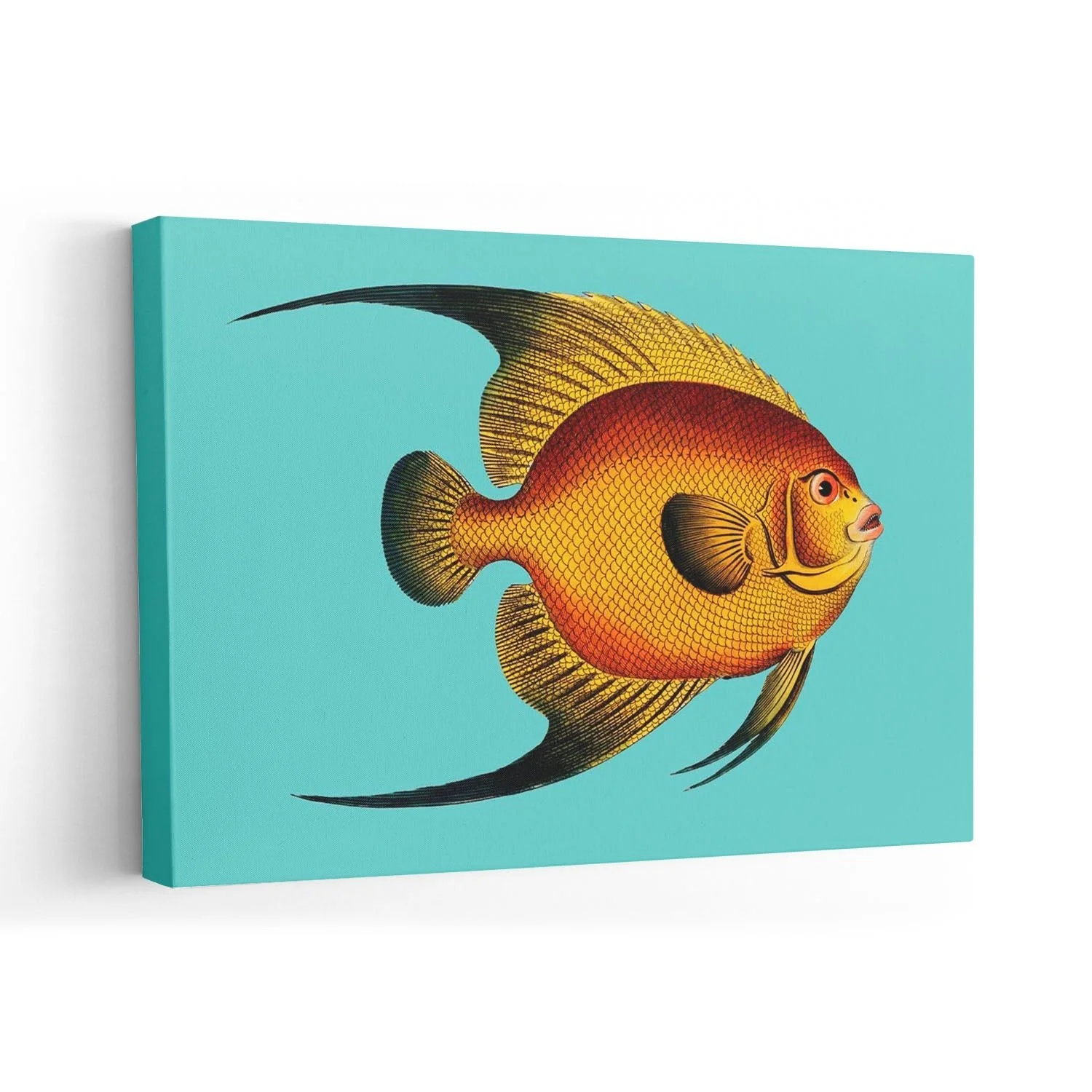 Turquoise Fish - Image 7