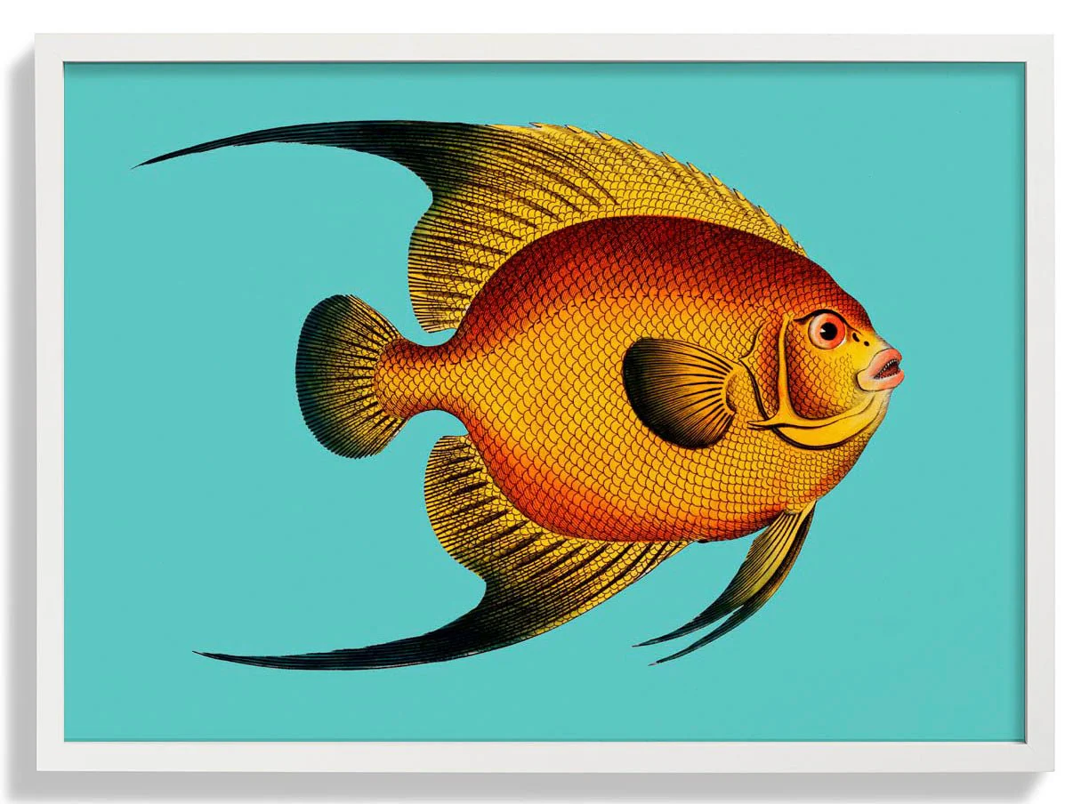 Turquoise Fish - Image 5