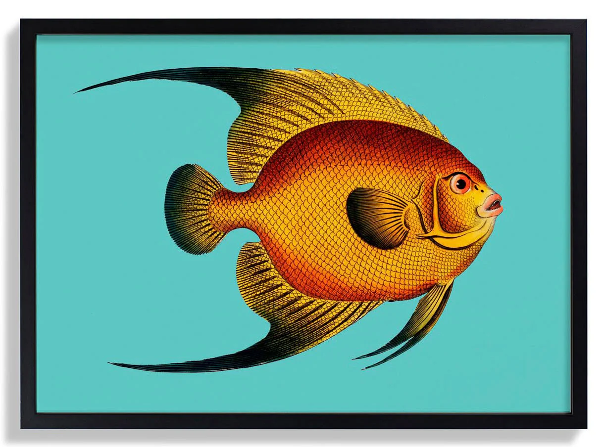 Turquoise Fish - Image 6