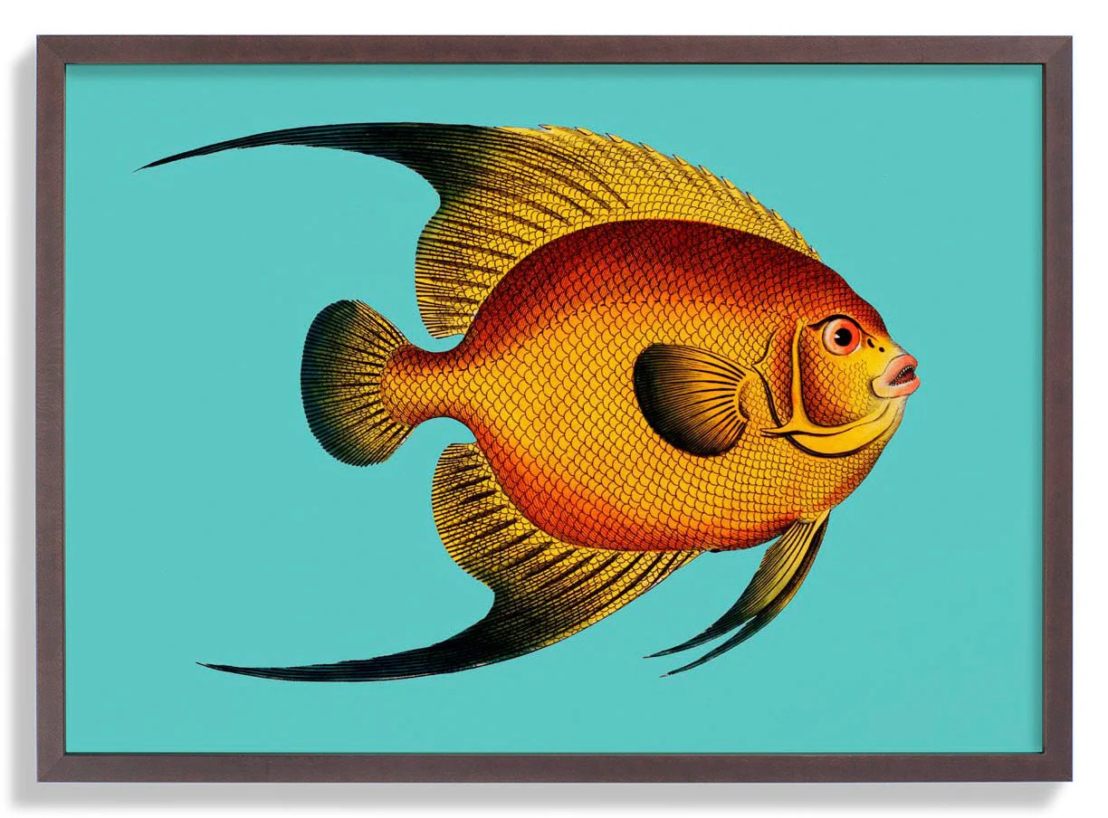 Turquoise Fish - Image 7