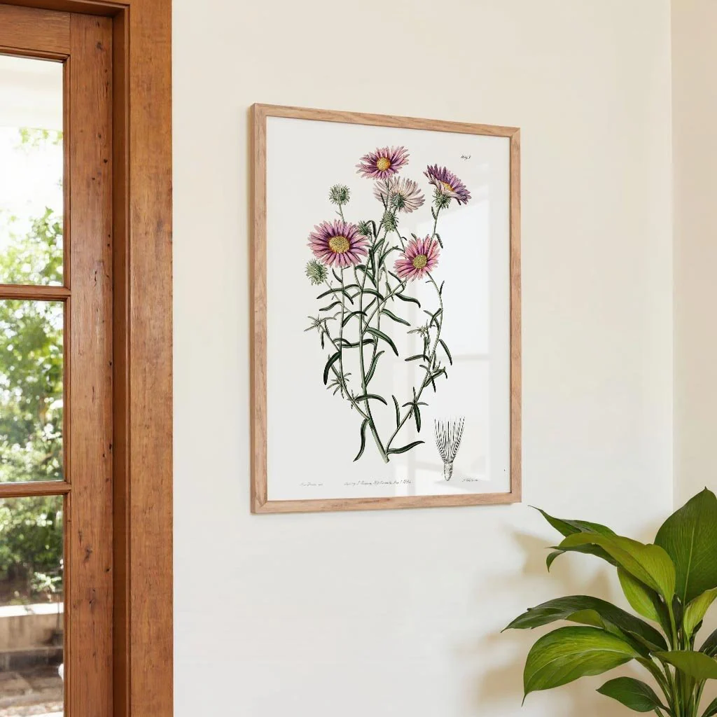 Vintage Hoary Flower - Image 4