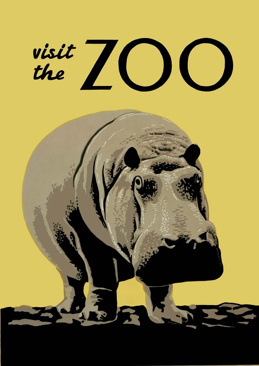 Visit the Zoo Vintage Hippo - Image 8