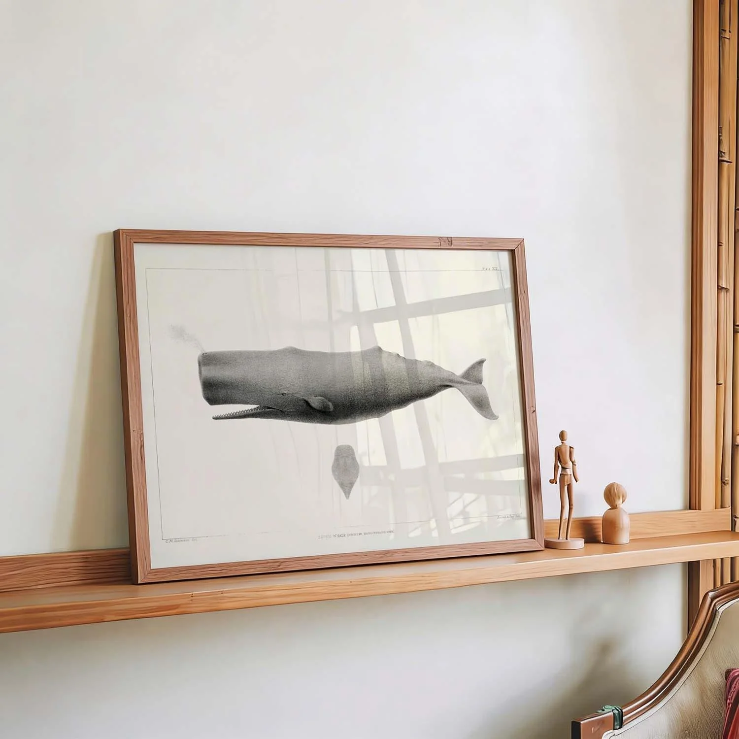 Whale - Image 4