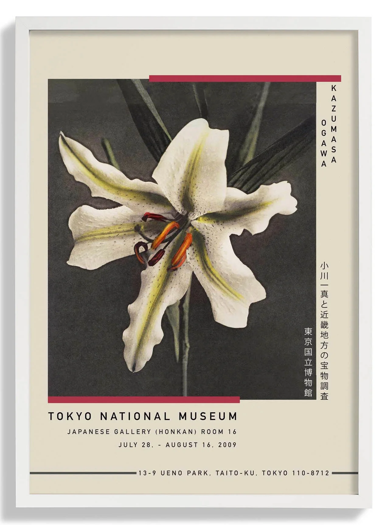 White Lily in the Dark by Kazumasa Exhibition - Image 4