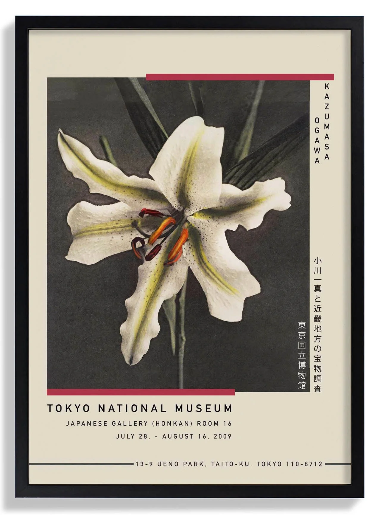 White Lily in the Dark by Kazumasa Exhibition - Image 5
