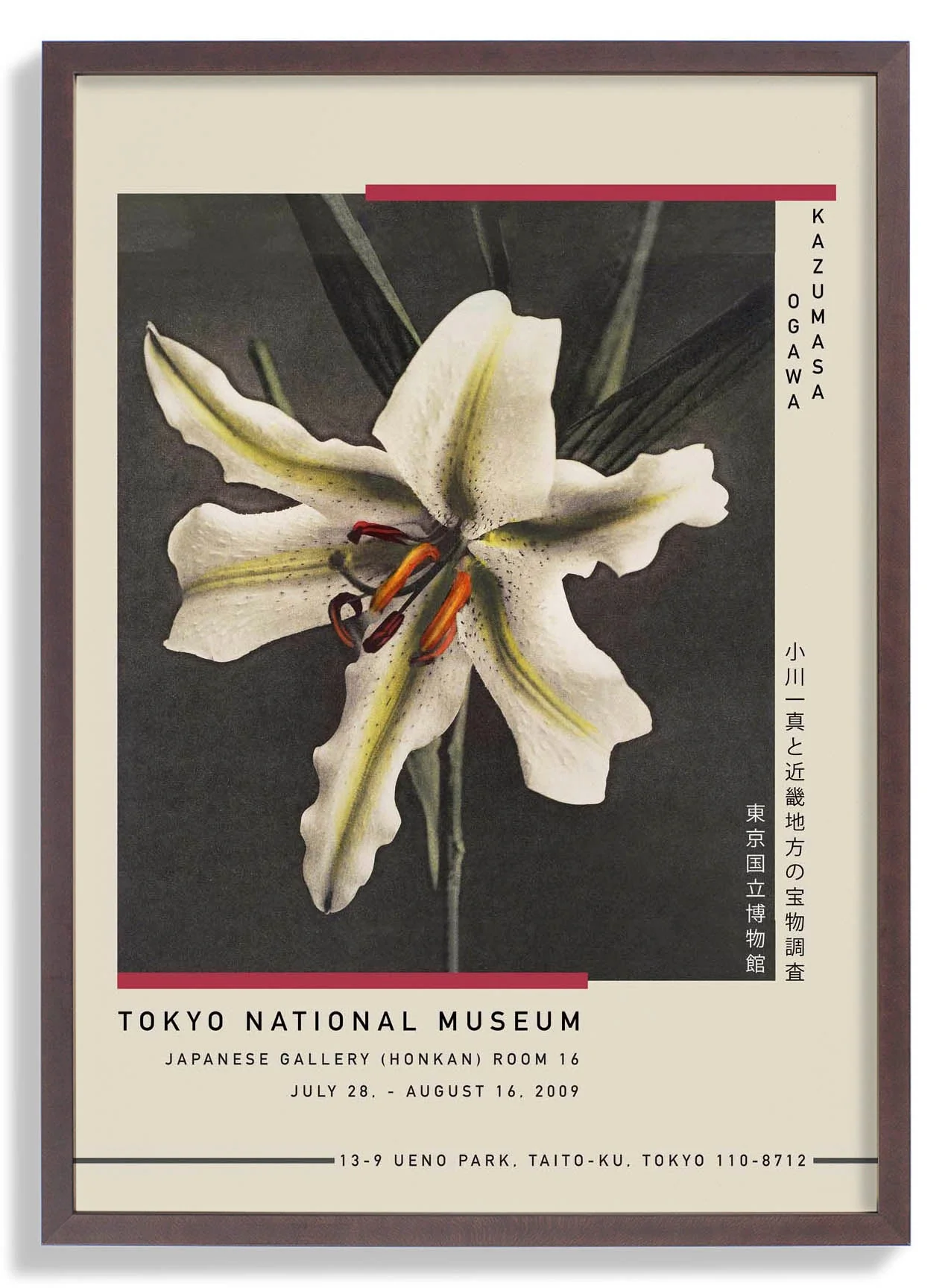 White Lily in the Dark by Kazumasa Exhibition - Image 6