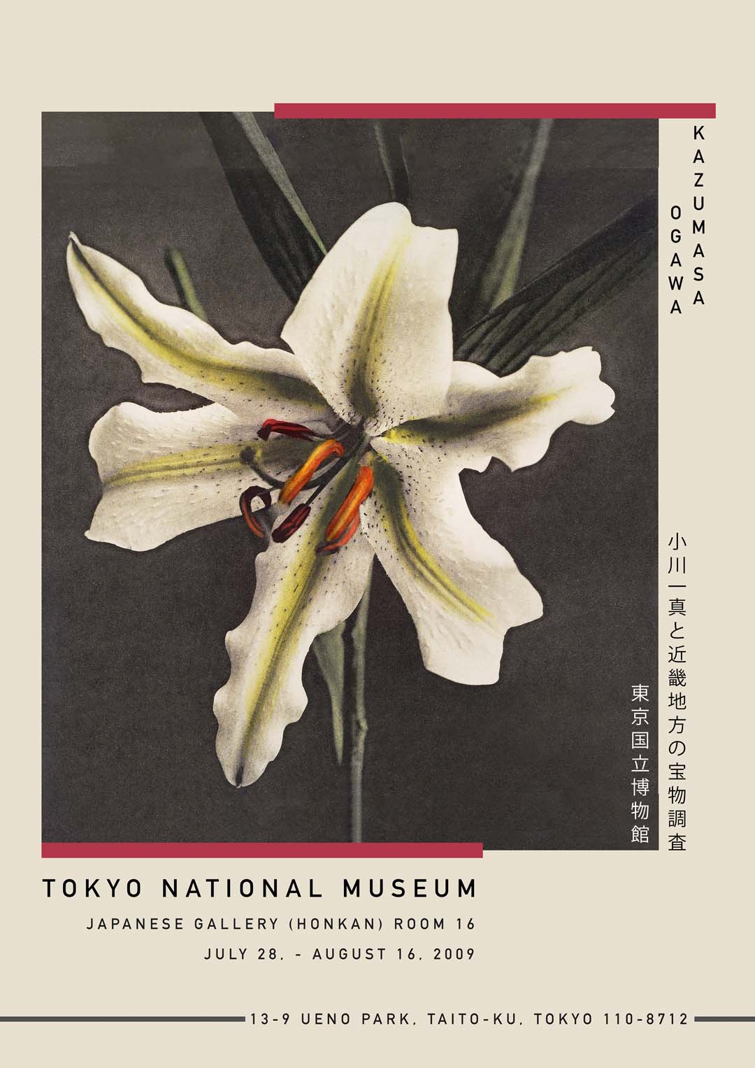 White Lily in the Dark by Kazumasa Exhibition - Image 7
