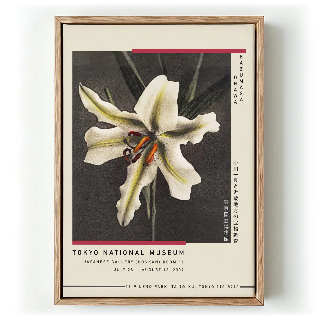 White Lily in the Dark by Kazumasa Exhibition