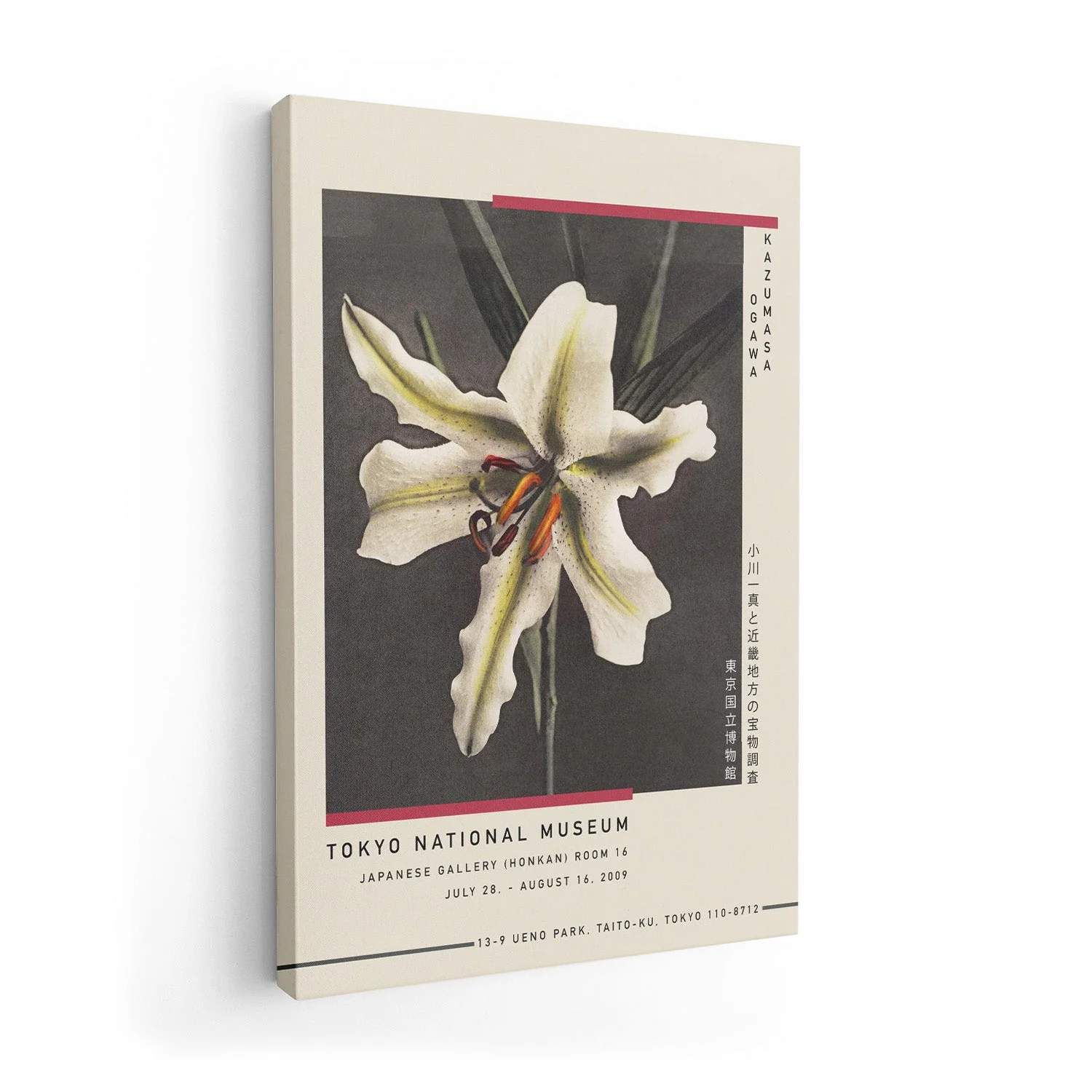White Lily in the Dark by Kazumasa Exhibition - Image 7