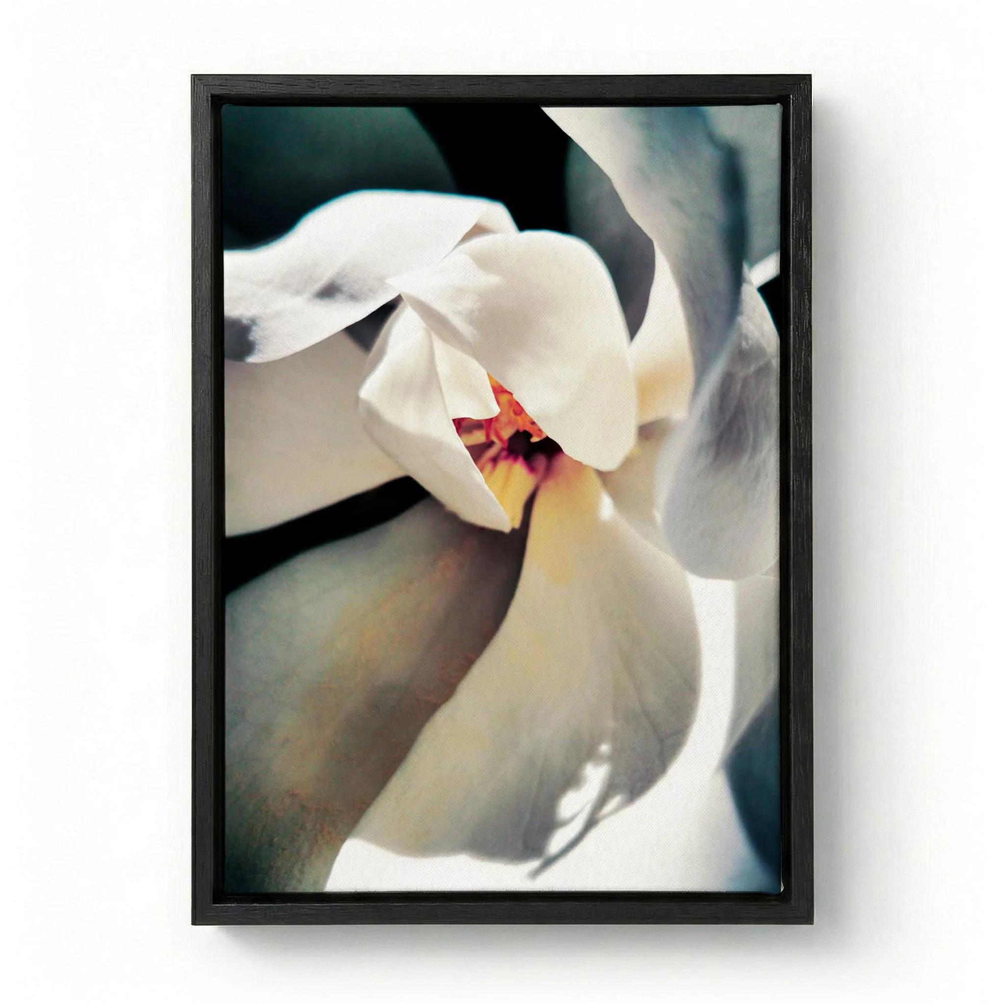 White Magnolia Bloom by Angelo Cerantola - Image 5