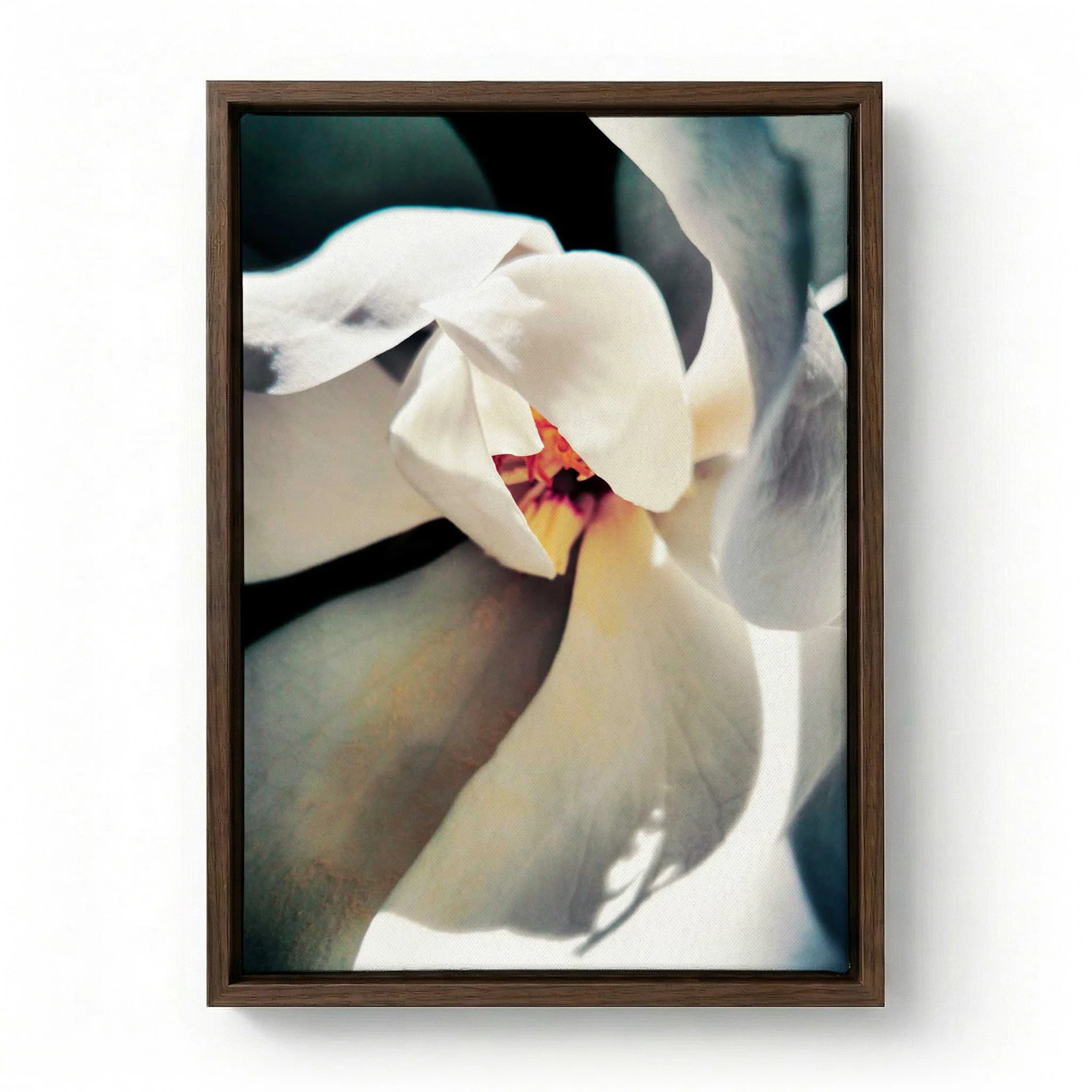 White Magnolia Bloom by Angelo Cerantola - Image 6
