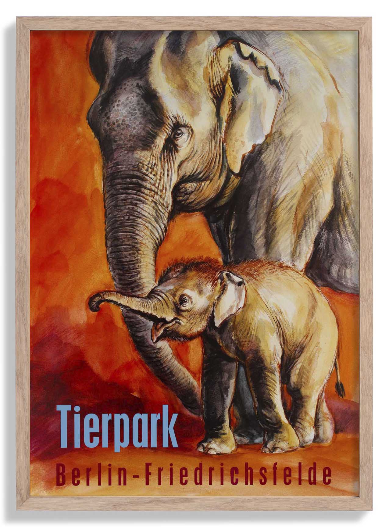 Zoo Tierpark Berlin Elephant
