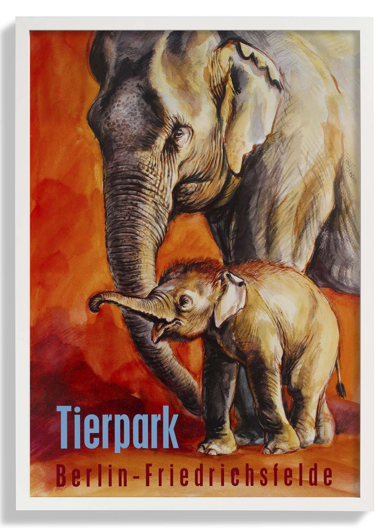 Zoo Tierpark Berlin Elephant - Image 5