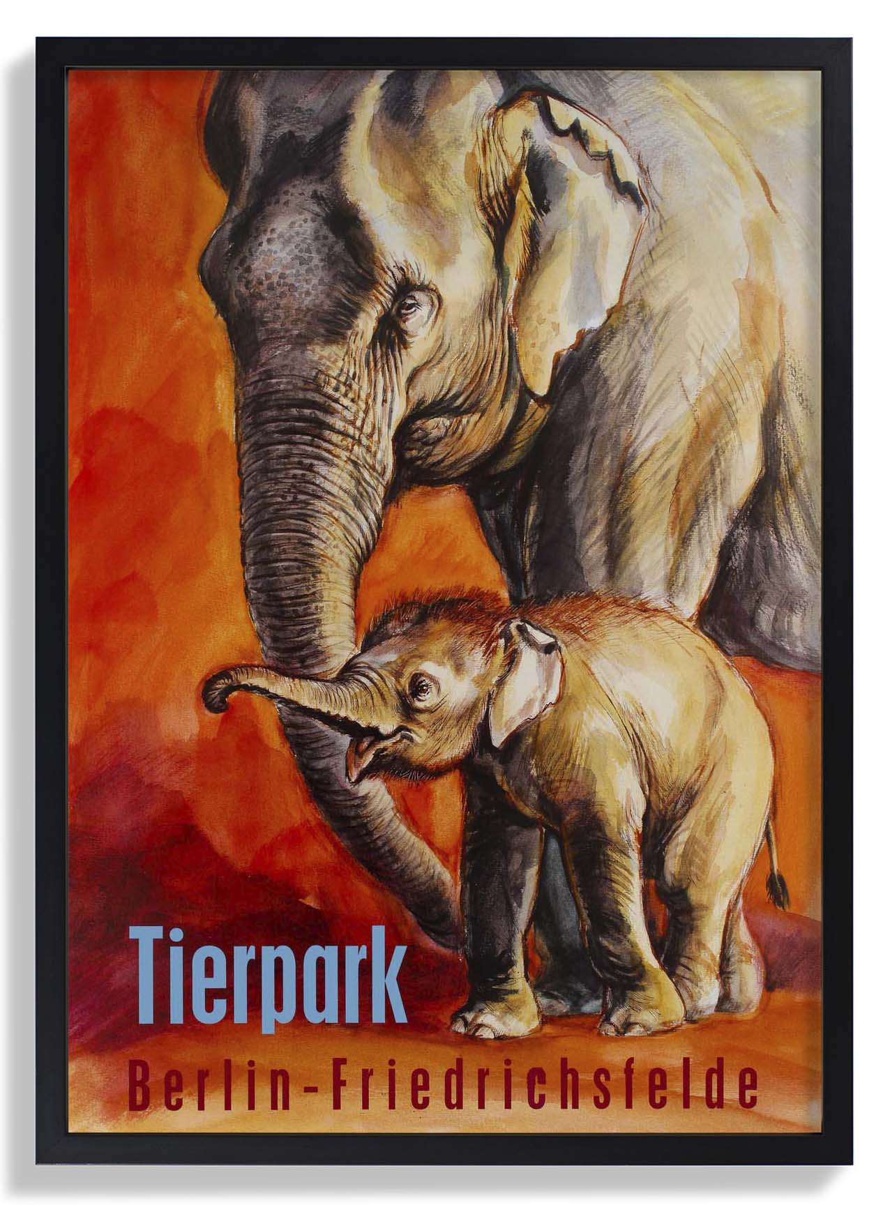 Zoo Tierpark Berlin Elephant - Image 6