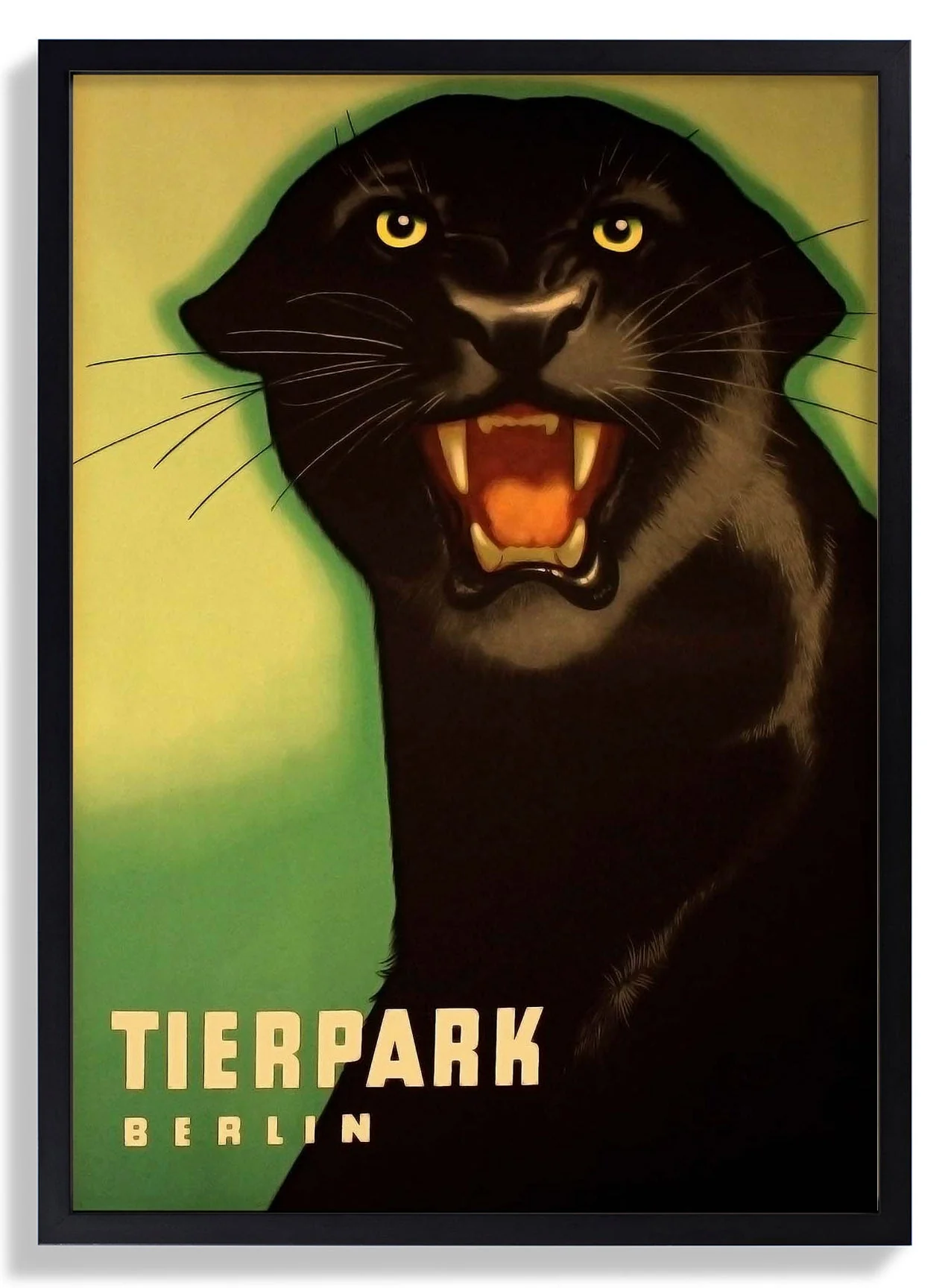 Zoo Tierpark Berlin Panther - Image 6