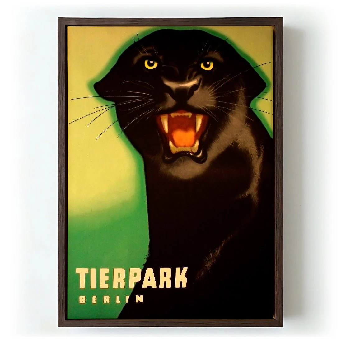 Zoo Tierpark Berlin Panther - Image 5