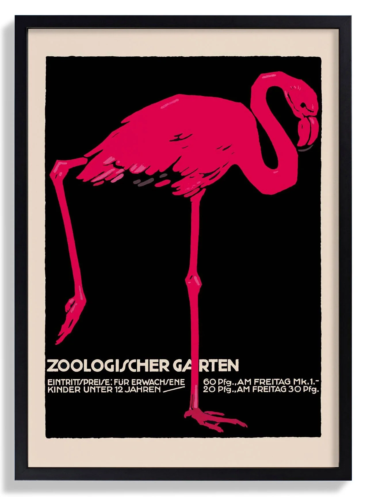 Zoologischer Garten Flamingo - Image 6